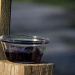 A Bowl Full of Jelly  by mej2011