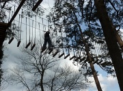 8th Mar 2012 - Treetop Adventure