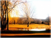 11th Mar 2012 - Day Light at the golf course