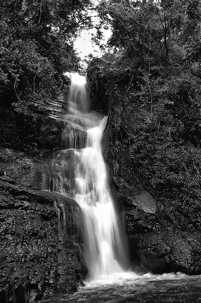 Macquarie Rivulet by peterdegraaff