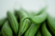 10th Mar 2012 - green beans