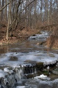 10th Mar 2012 - The 16 Mile Creek