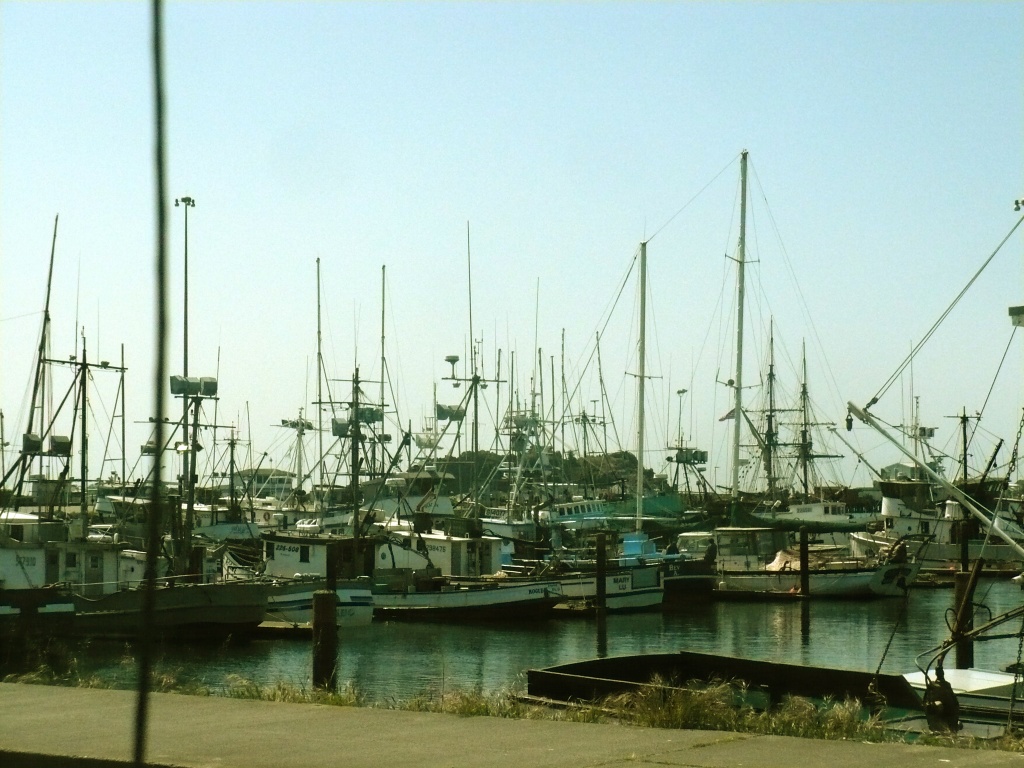 Crescent City Harbor until 3/10/2011 by pandorasecho