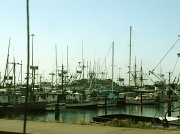 10th Mar 2012 - Crescent City Harbor until 3/10/2011