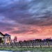 Sunset on Delaney Vineyards by lynne5477