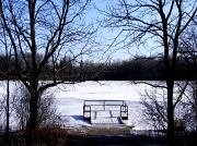 10th Mar 2012 - On frozen pond