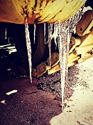 6th Mar 2012 - icicles