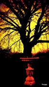 11th Mar 2012 - Tree