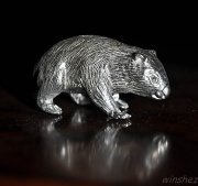 10th Mar 2012 - wombat = me