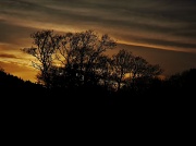 11th Mar 2012 - The end of a perfect day.