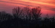 11th Mar 2012 - Sunset