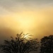 Foggy Sunrise at Work by melinareyes