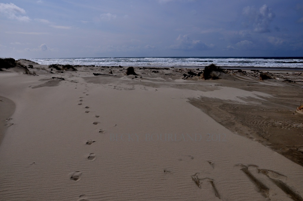 One Set Of Footprints by mamabec