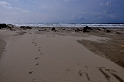 12th Mar 2012 - One Set Of Footprints
