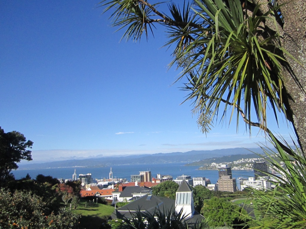 Wellington, New Zealand by pamelaf