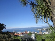 12th Mar 2012 - Wellington, New Zealand