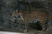 7th Mar 2012 - lincoln Park Zoo 