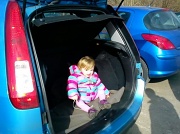 10th Mar 2012 - Lucy in the car boot 