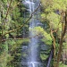 Erskine falls, such a dreamy place by sugarmuser