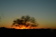 24th Feb 2012 - Blur of the sunset