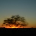 Blur of the sunset by dora