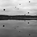b&w balloons by lbmcshutter
