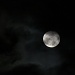 Full Moon by juletee