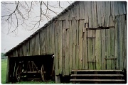 11th Mar 2012 - Cypress Barn 2