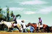 9th Mar 2012 - Horseback Ride