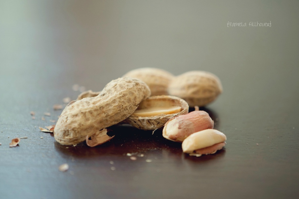 nuts.... by earthbeone