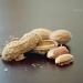 nuts.... by earthbeone