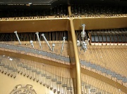 11th Mar 2012 - Prepared Piano for percussion