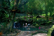 10th Mar 2012 - Ardent Hot Springs