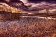 13th Mar 2012 - Thawing Pond