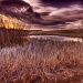 Thawing Pond by exposure4u