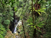 14th Mar 2012 - Lower Minnamurra Falls