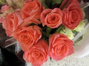 8th Mar 2012 - Roses IMG_3884