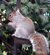 14th Mar 2012 - Nuts About Nuts!!
