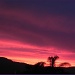 Tulbagh Sunset by salza
