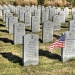 DFW National Cemetary by lynne5477