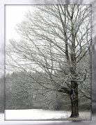 14th Mar 2012 - More snow!!