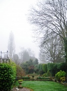 15th Mar 2012 - Morning Mist