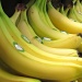 Bananas, its just bananas! by netkonnexion