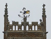 15th Mar 2012 - starlings on the weather vane