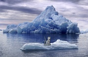 15th Mar 2012 - Iceberg