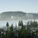 morning mist by ltodd