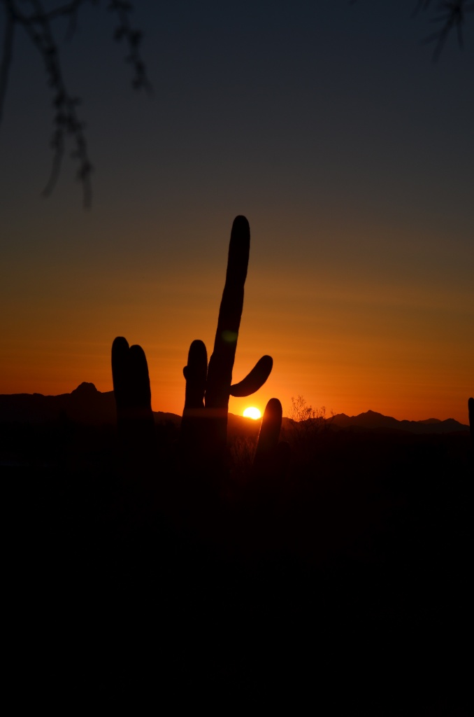 Sunset in Tuscon by dora