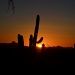 Sunset in Tuscon by dora