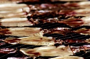 15th Mar 2012 - Dried Squid 