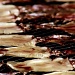 Dried Squid  by iamdencio